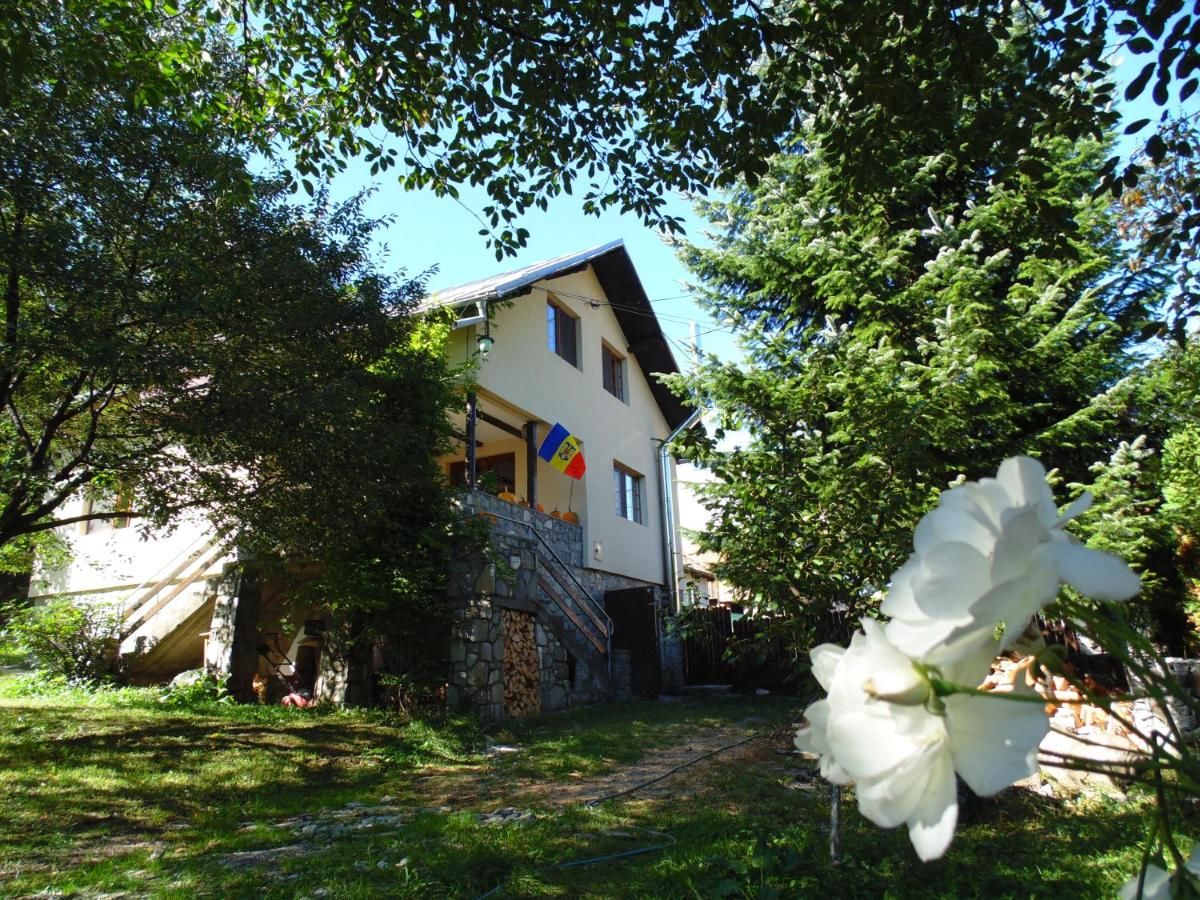 Дома для отпуска Casuta din Vale Teşila
