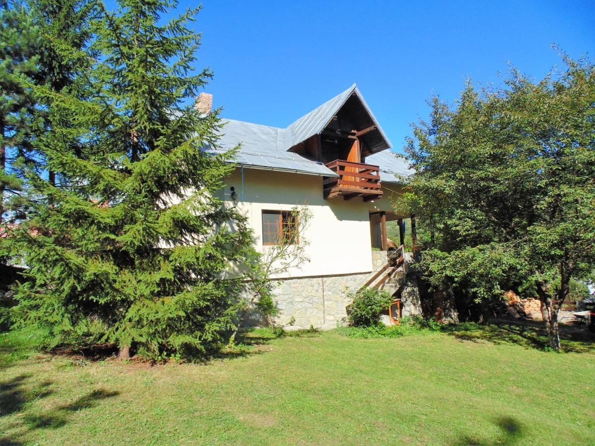 Дома для отпуска Casuta din Vale Teşila-19