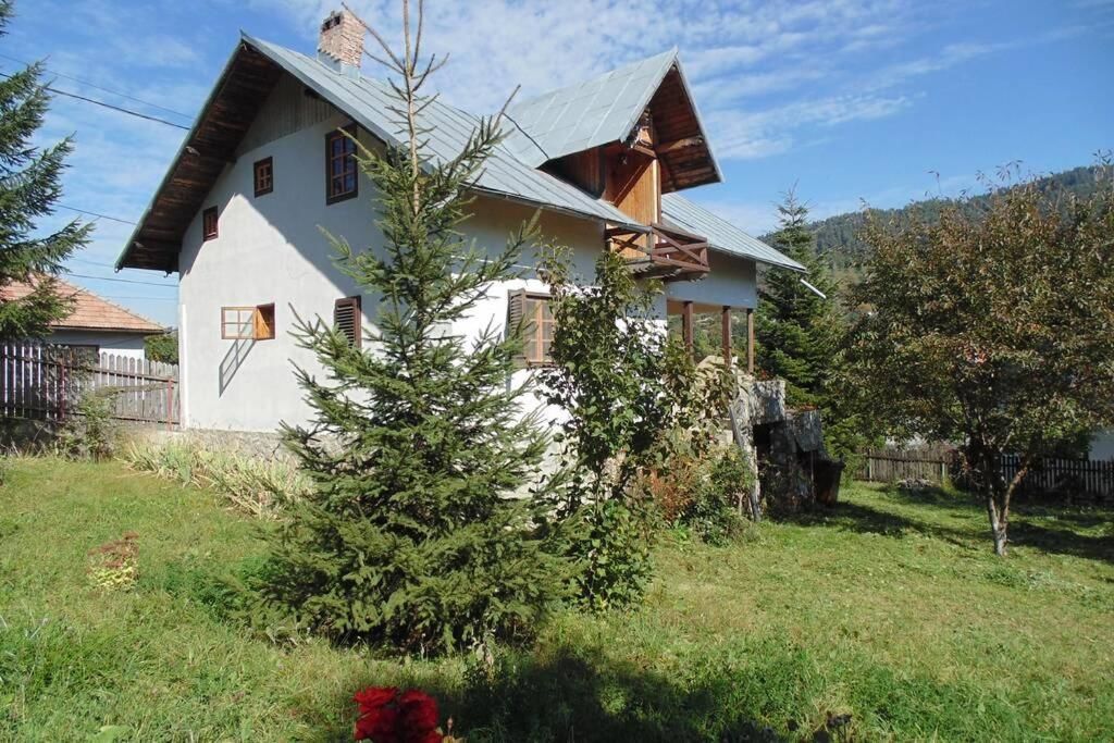 Дома для отпуска Casuta din Vale Teşila-23