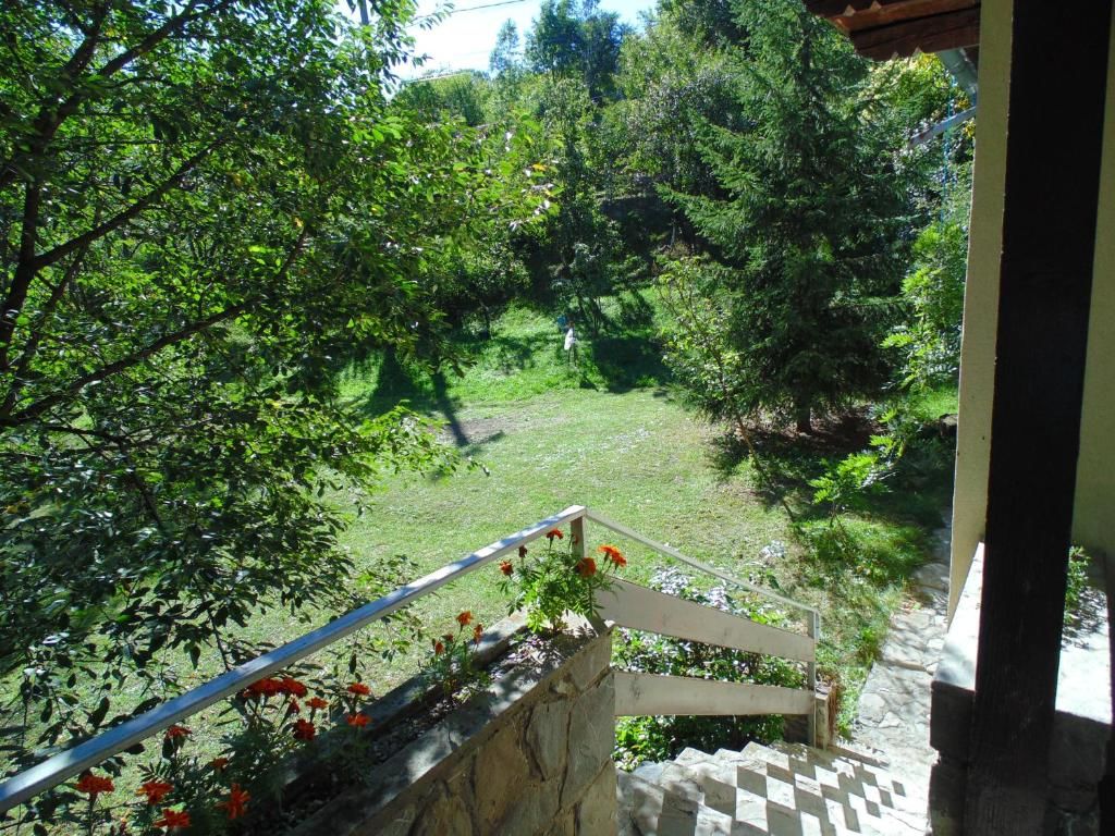 Дома для отпуска Casuta din Vale Teşila-36