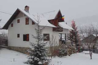 Дома для отпуска Casuta din Vale Teşila Дом с 3 спальнями-21