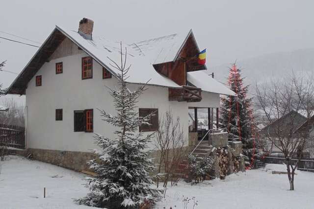 Дома для отпуска Casuta din Vale Teşila-28